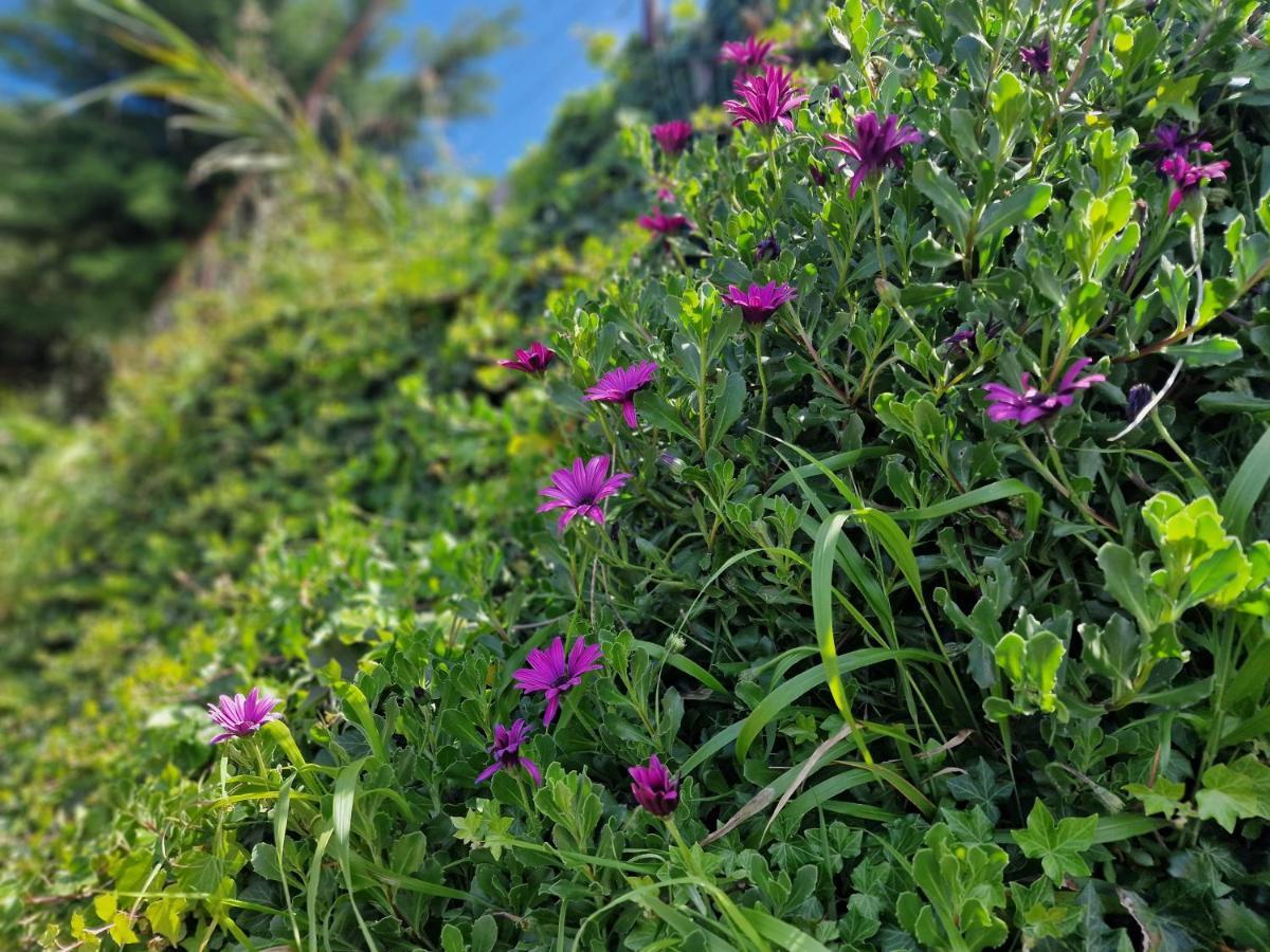 Madeira Sunset Cottage - Nature Retreat Ponta do Pargo Εξωτερικό φωτογραφία
