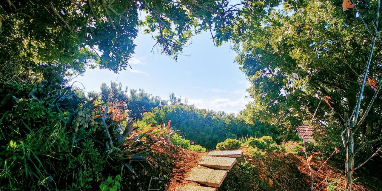 Madeira Sunset Cottage - Nature Retreat Ponta do Pargo Εξωτερικό φωτογραφία